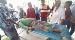 কুষ্টিয়ায় রাসেলস ভাইপার সাপের কামড়ে দুজন নিহত।