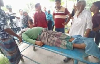 কুষ্টিয়ায় রাসেলস ভাইপার সাপের কামড়ে দুজন নিহত।