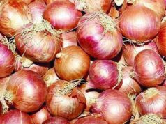 পেঁয়াজে স্বয়ংসম্পূর্ণতার পথে এগোচ্ছে বাংলাদেশ