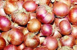 পেঁয়াজে স্বয়ংসম্পূর্ণতার পথে এগোচ্ছে বাংলাদেশ