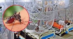 ডেঙ্গুতে আরও ২ জনের মৃত্যু, শনাক্ত ২৭৯