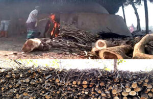 পাইকগাছায় অবৈধ কয়লার চুল্লি, হুমকির মুখে পরিবেশ