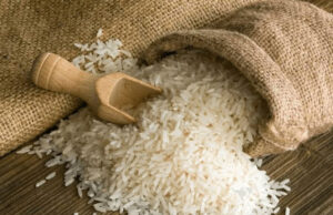 ভারতে নন-বাসমতি চাল রপ্তানিতে নতুন শর্ত