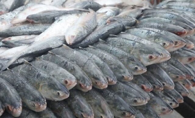 image-579505-1759558245