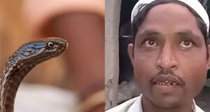 রাতে সাপ হয়ে কামড়াতে যান স্ত্রী, অভিযাগ স্বামীর