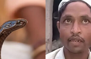 রাতে সাপ হয়ে কামড়াতে যান স্ত্রী, অভিযাগ স্বামীর