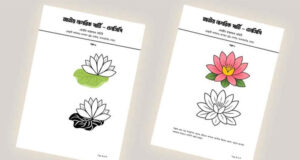 শাপলা প্রতীক চেয়ে ৭টি নমুনা পাঠাল এনসিপি