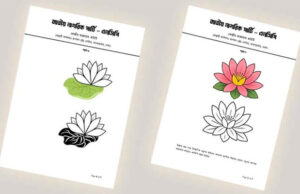 শাপলা প্রতীক চেয়ে ৭টি নমুনা পাঠাল এনসিপি