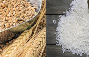 ৫০ হাজার টন বাসমতি চাল কিনবে সরকার