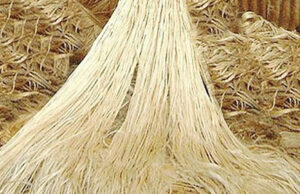 ২ হাজার ৯৮৪ টন পাট রপ্তানির অনুমতি পেলো ১২ প্রতিষ্ঠান