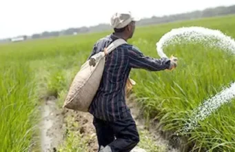 এক লাখ ৩০ হাজার টন সার কিনবে সরকার, ব্যয় ৭২২ কোটি টাকা