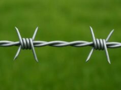 ভারত-বাংলাদেশ সীমান্তের অরক্ষিত এলাকায় কাঁটাতারের বেড়া নির্মাণ সংক্রান্ত আদালতের নির্দেশনা বিষয়ক চিত্র।