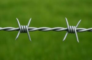 ভারত-বাংলাদেশ সীমান্তের অরক্ষিত এলাকায় কাঁটাতারের বেড়া নির্মাণ সংক্রান্ত আদালতের নির্দেশনা বিষয়ক চিত্র।