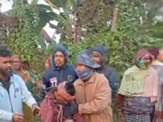 ভেড়ামারায় ট্রাক–অ্যাম্বুলেন্স সংঘর্ষে একজন আহত