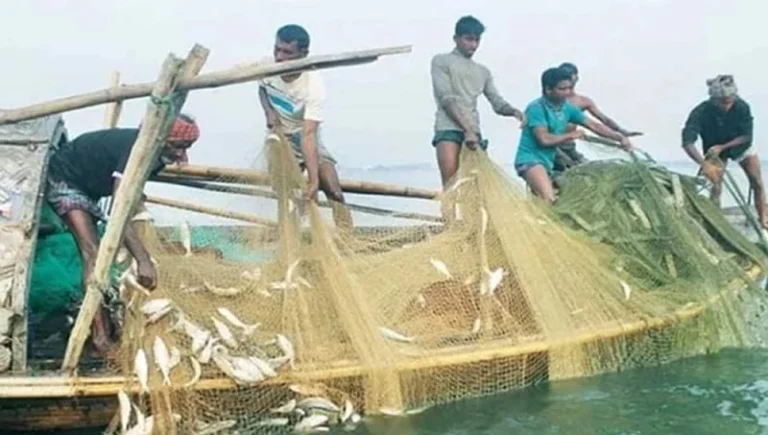 জাটকা রক্ষায় ২ মাস মাছ ধরা নিষিদ্ধ