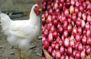 ভোটের বিধিনিষেধে ঢাকায় পণ্যের দাম চড়া