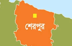 শেরপুর-১ ও শেরপুর-২ আসনে এগিয়ে জামায়াত