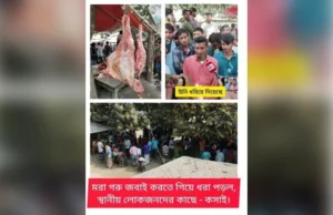দেওয়ানগঞ্জে মৃত গরু জবাইয়ের অভিযোগে চাঞ্চল্য