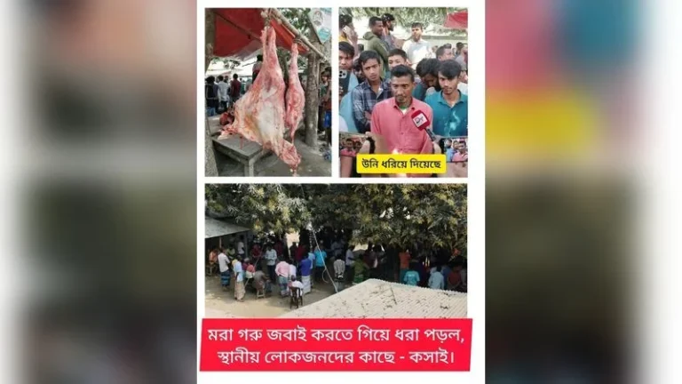 দেওয়ানগঞ্জে মৃত গরু জবাইয়ের অভিযোগে চাঞ্চল্য