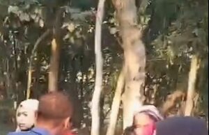 ভালুকায় নির্বাচনী প্রচারণায় অংশ নেওয়া নারী কর্মীদের সঙ্গে সংঘর্ষের ঘটনা