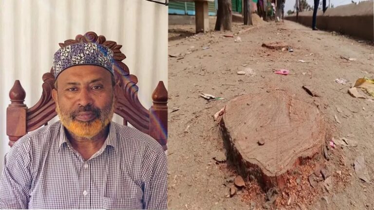 বিএনপি নেতার বিরুদ্ধে বেড়িবাঁধের গাছ কাটার অভিযোগ
