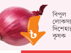 পেঁয়াজের দরপতনে রাজশাহীর চাষির কান্না