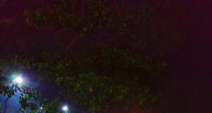 রাতের ট্রেনযাত্রা নিরাপদ রাখতে জরুরি করণীয়